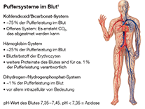 Schaubild Puffersysteme